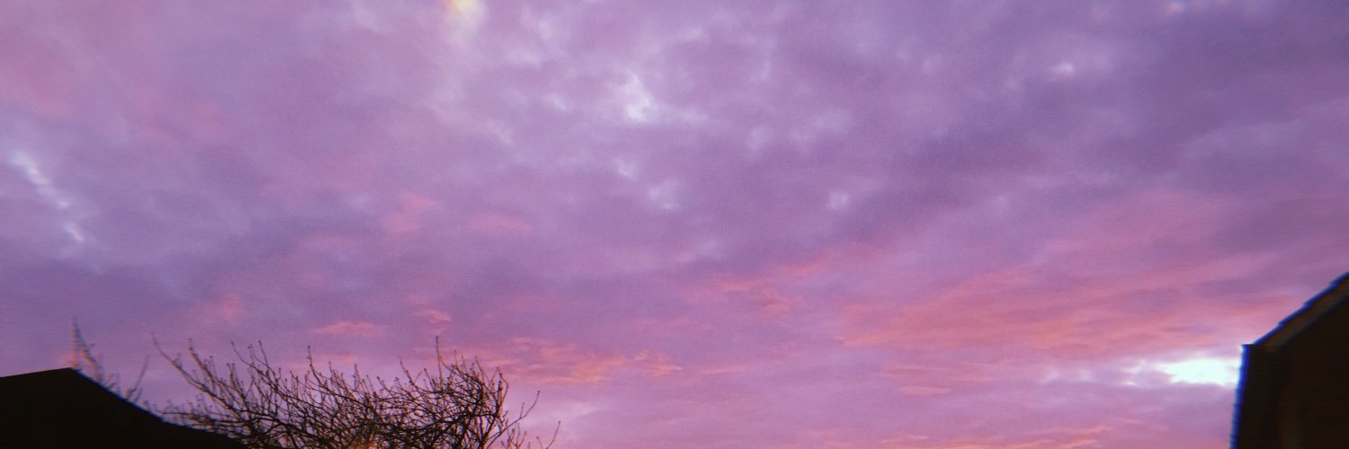 MatthewsLucie's profile banner image