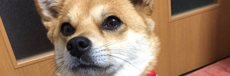 chanmeee1's profile banner image