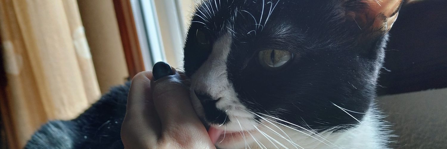 Lurdeslopez98's profile banner image