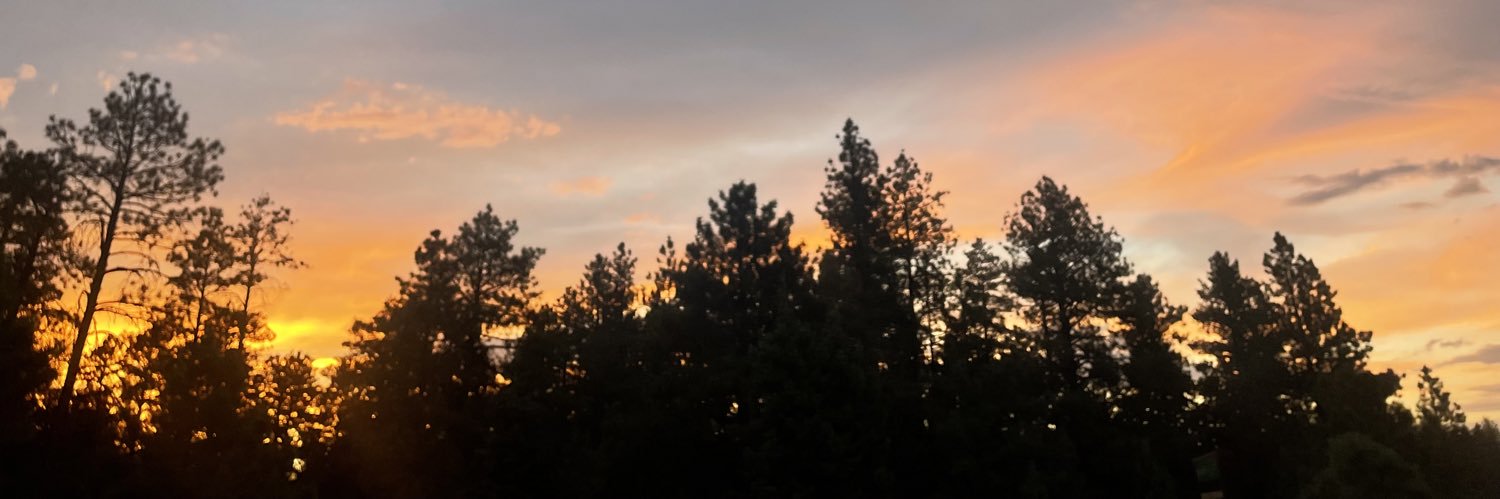 brandon_wil's profile banner image