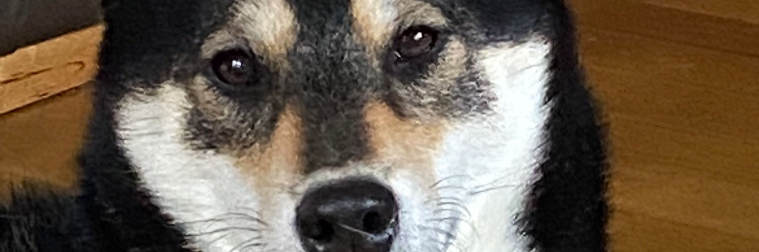 wasi96mi's profile banner image