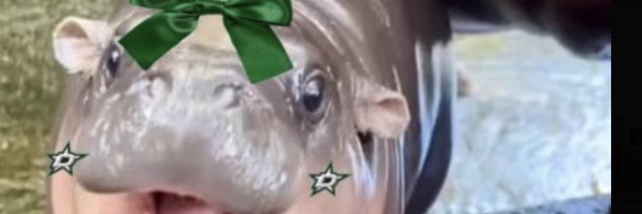 _dominicmarin's profile banner image