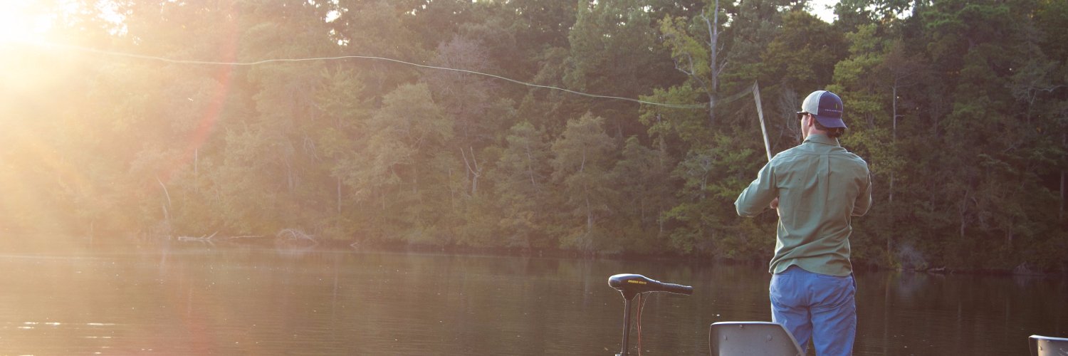 Collared_Greens's profile banner image