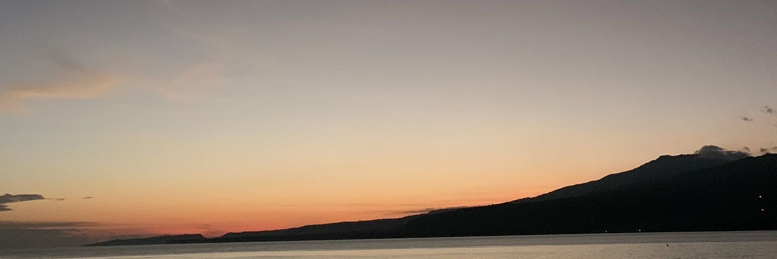 DISLT's profile banner image