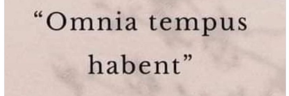 Prudens 🕷️⭐️⭐️ banner