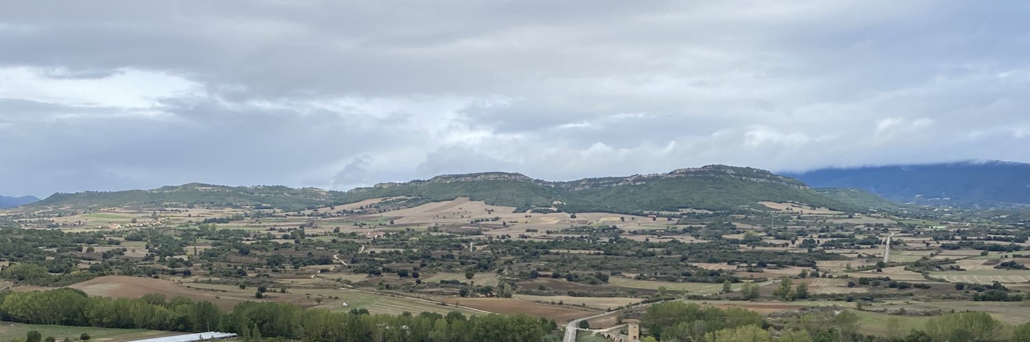 fidodidomik's profile banner image
