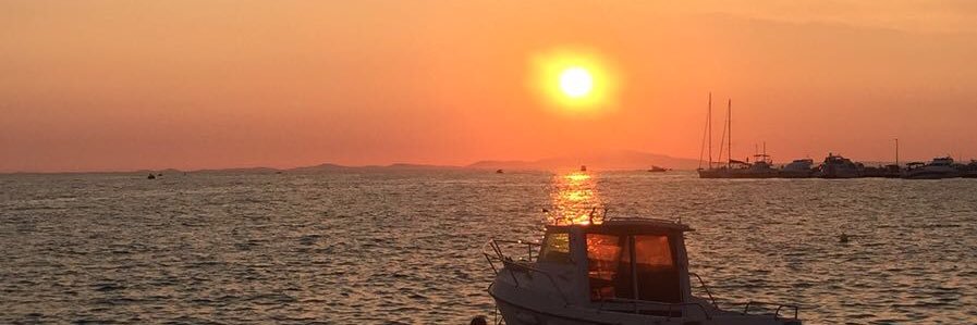 Shellyh_'s profile banner image