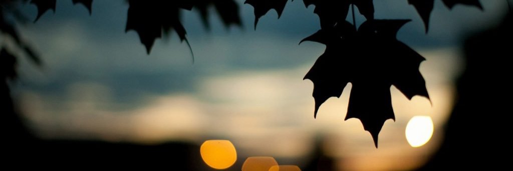 c_lauv's profile banner image