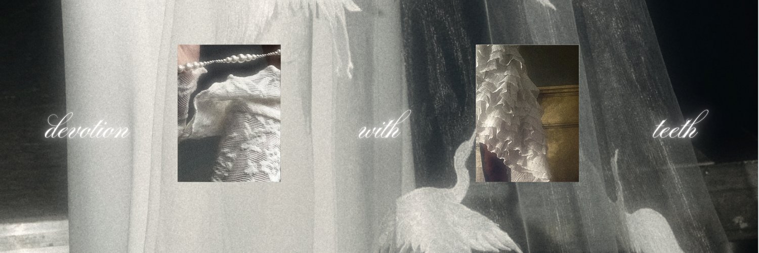︎ ︎ ︎ banner