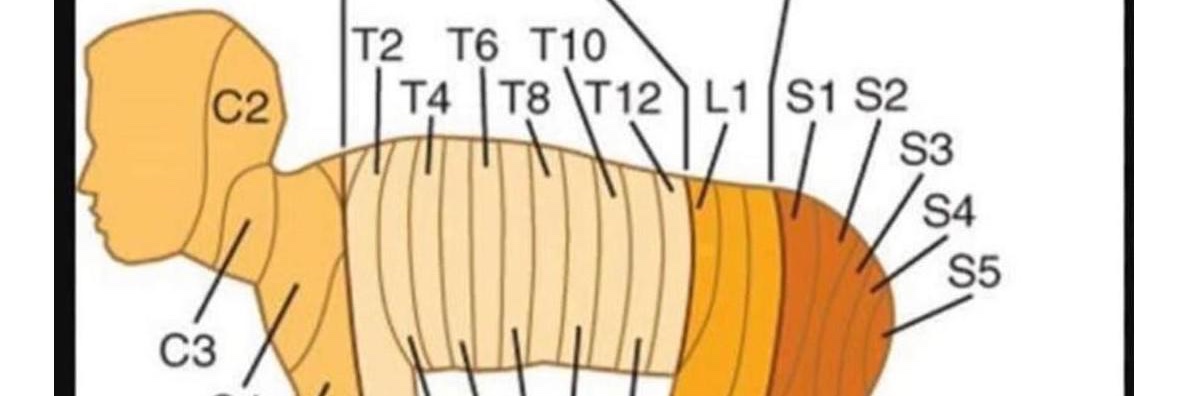 BabsSharpPhysio's profile banner image