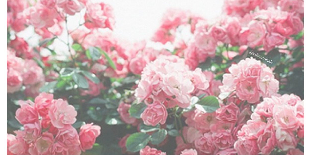 PreciousJanelle's profile banner image