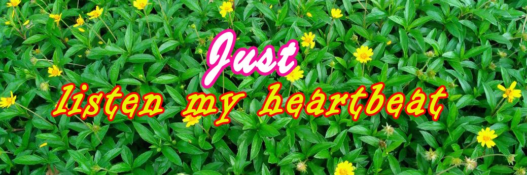 AmioNEEL's profile banner image