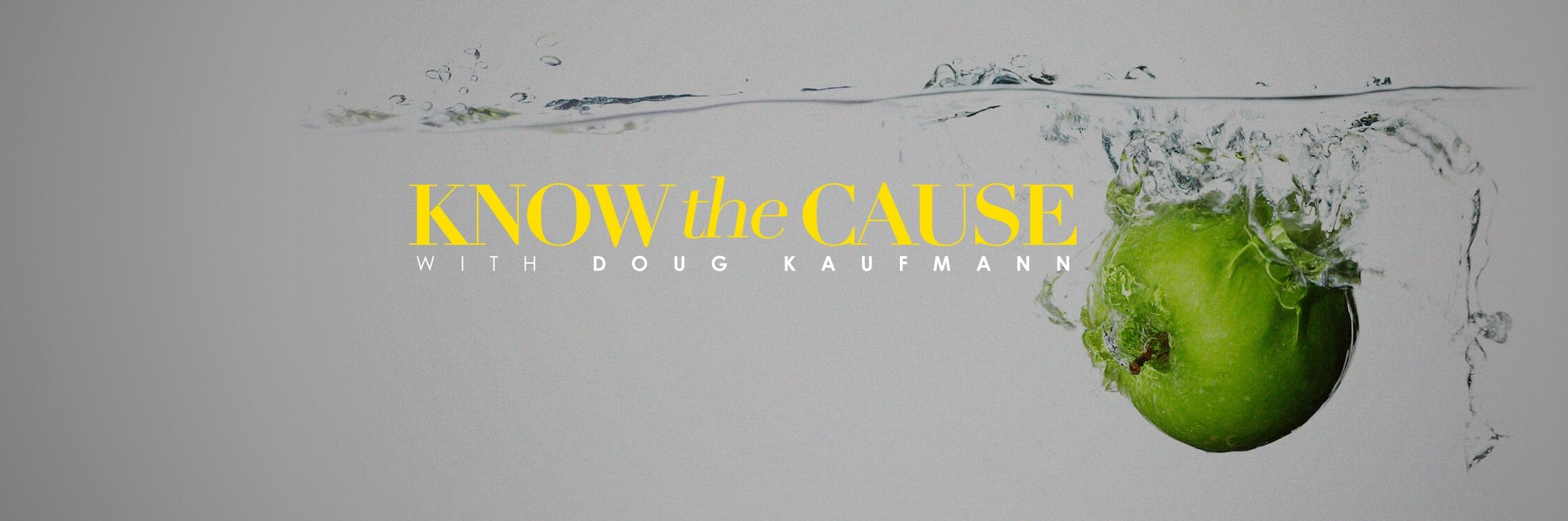 Doug Kaufmann banner
