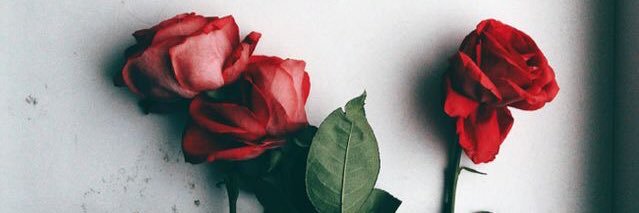 guidealisa's profile banner image