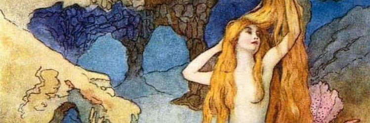 AlisonNeri1's profile banner image