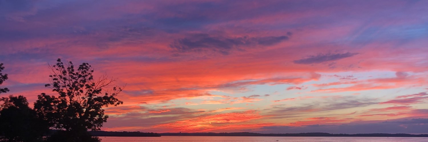DashaYermol's profile banner image