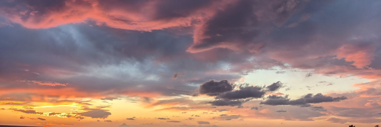 Philip Stehlik (he/him) banner