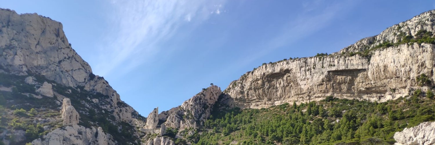EliseChoquet's profile banner image