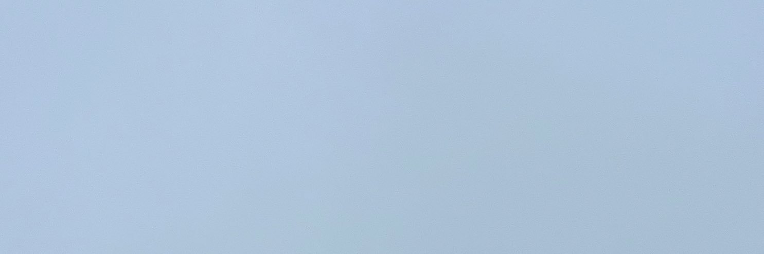 elodie🤙🏼 banner