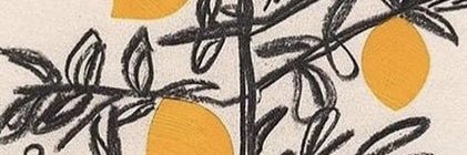 C____Land's profile banner image