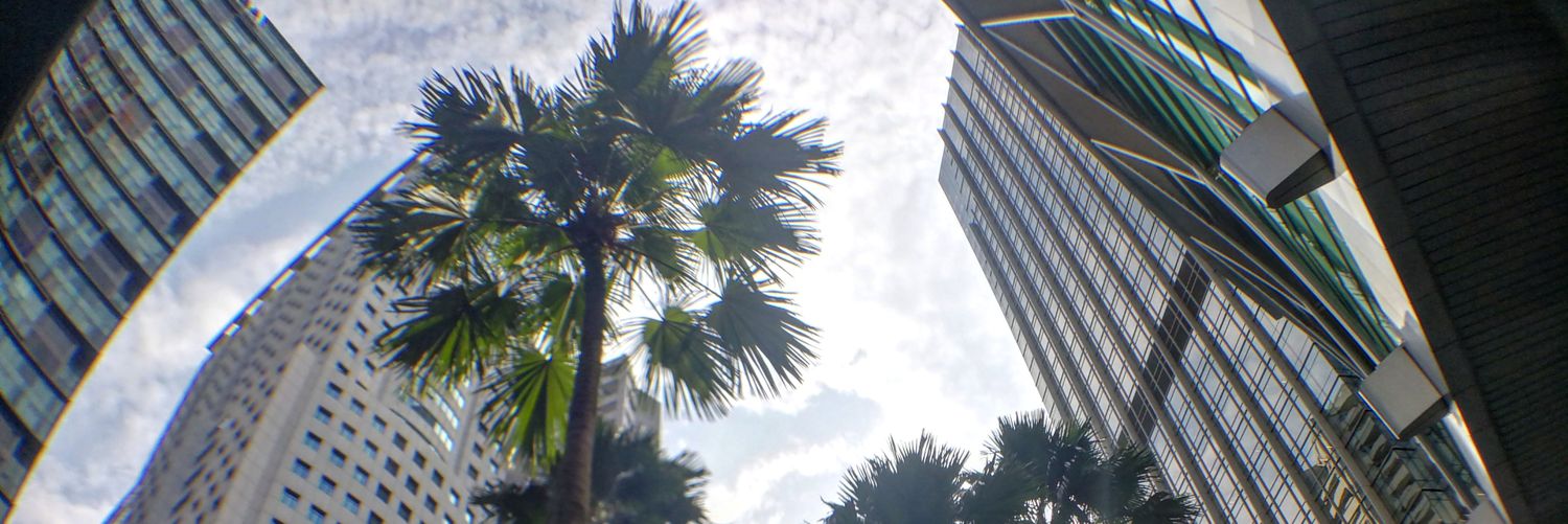 HasanAlhulaibi's profile banner image