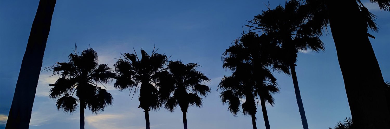 jessleebrownn's profile banner image