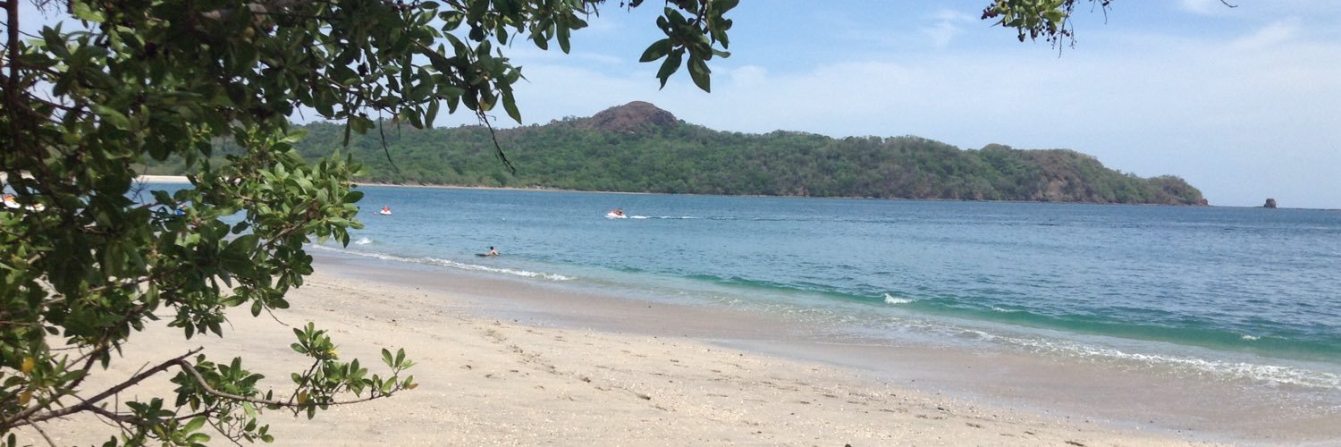 Meghan Noelle banner