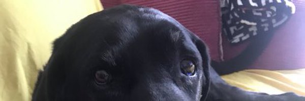 Drawski5 Profile Banner