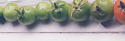 MLGraaf's profile banner image