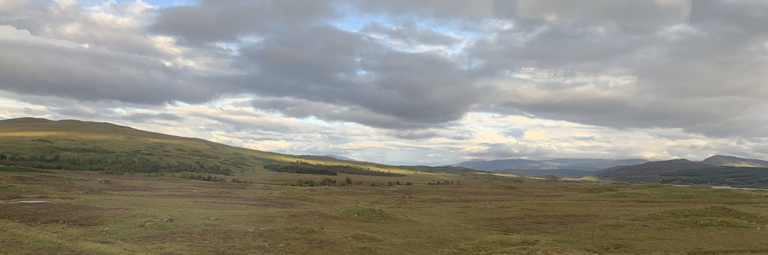 Darcys’Wickham banner