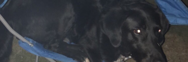 RigbySwenson's profile banner image