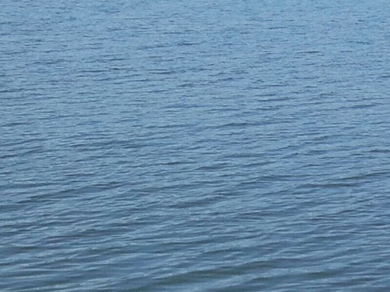 luis__calera's profile banner image