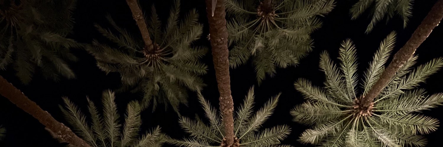 ريوف المطيري banner