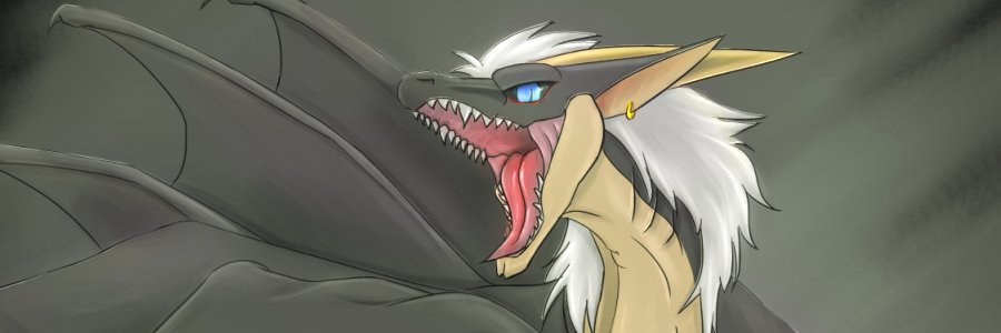 ひっころ 🧀 Hikkoro Wyvern banner