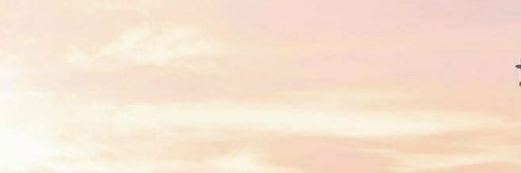 yonki_V's profile banner image