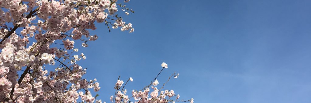 Chlo banner