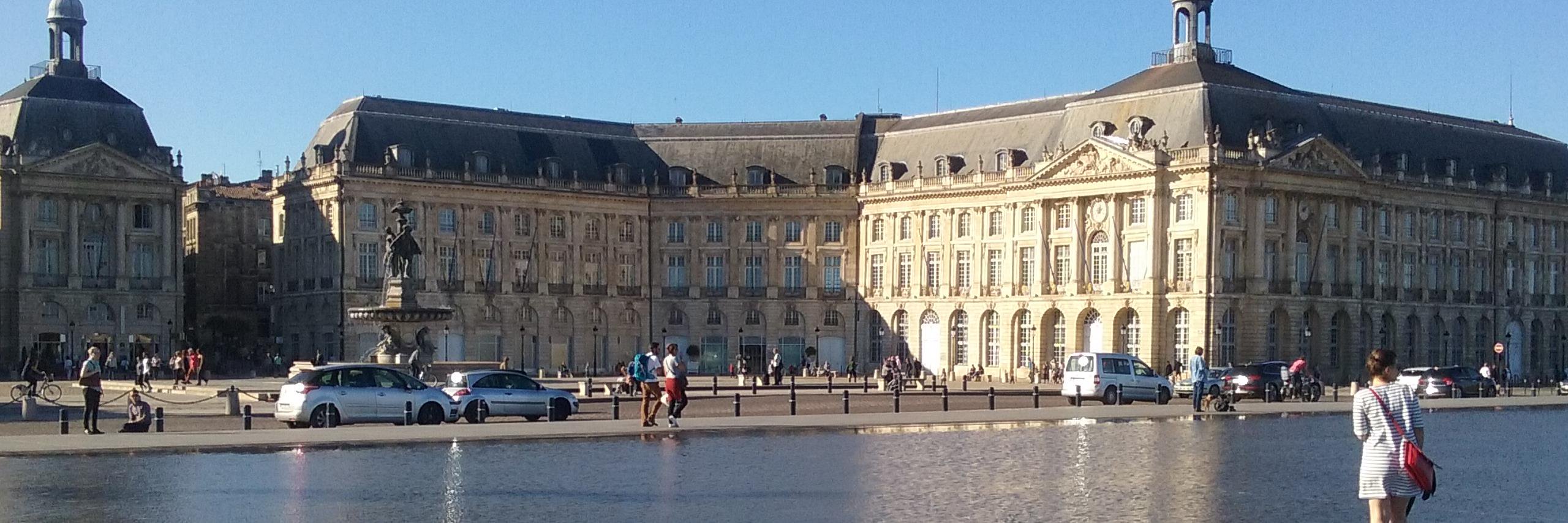 Mags D 💙🌻 banner