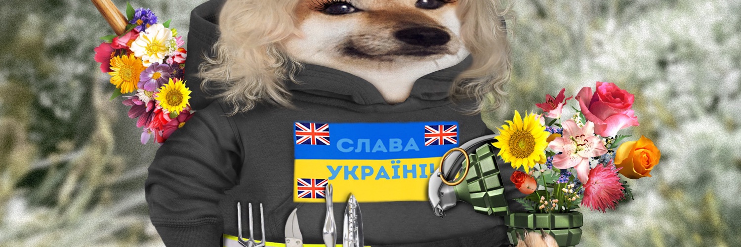 salfo fellarina 🇬🇧🇺🇦🇬🇪😺 banner