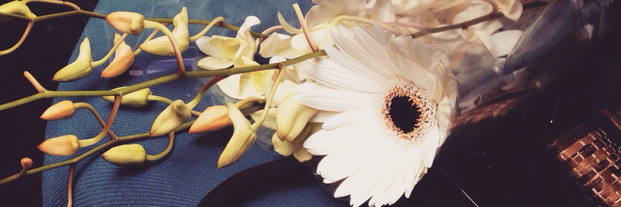 ronykamatis's profile banner image