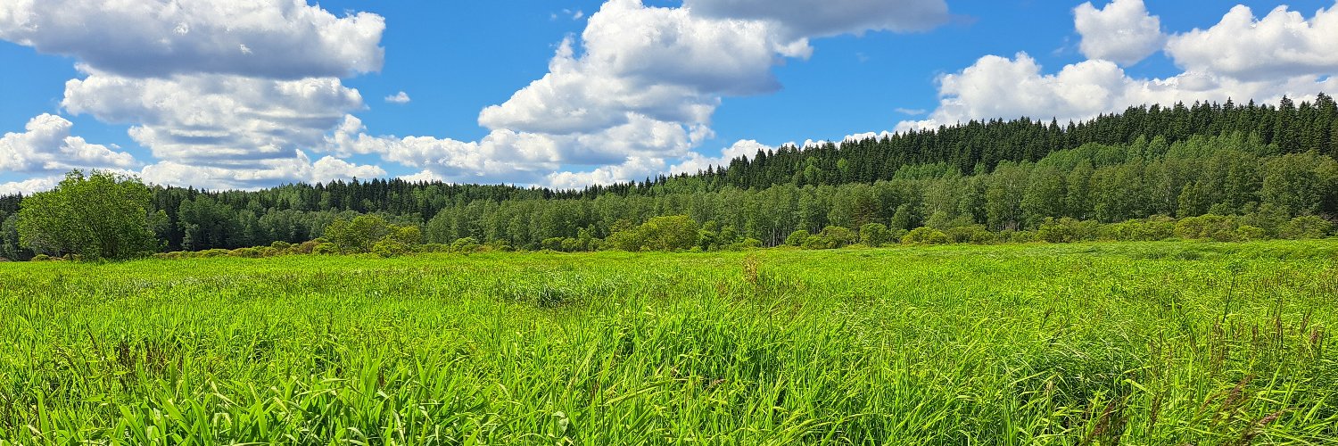 k_leppanen's profile banner image