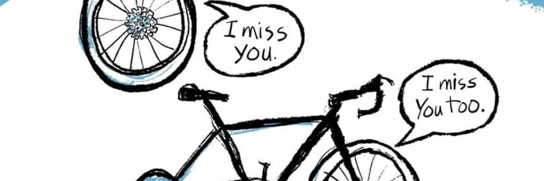silnicek's profile banner image