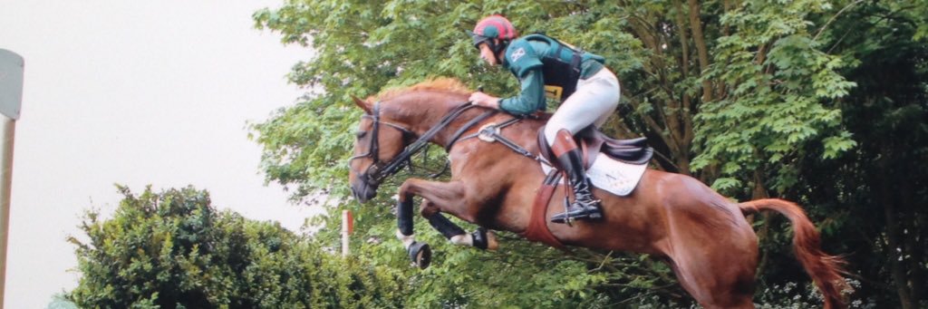 GregorKnox™ banner