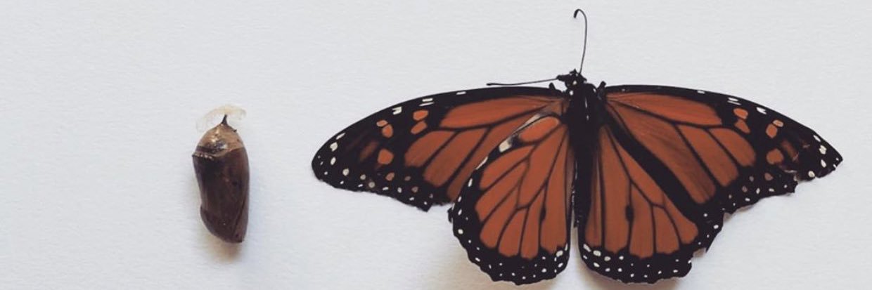 mamaemss's profile banner image