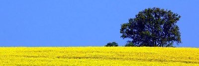 EngineerMEB's profile banner image