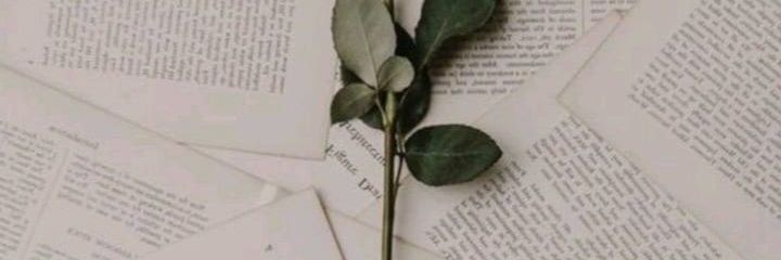 robin_aha4u's profile banner image