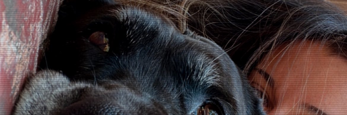 inesdgoas's profile banner image