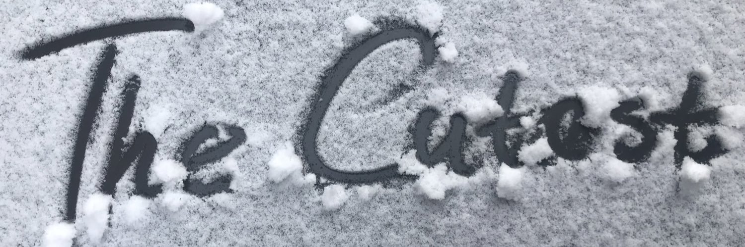 Anne_Cedrine's profile banner image