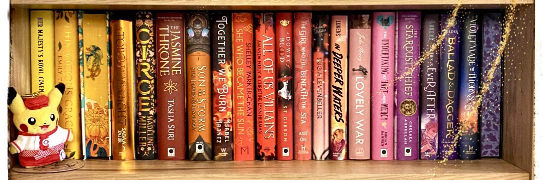lisashelves's profile banner image