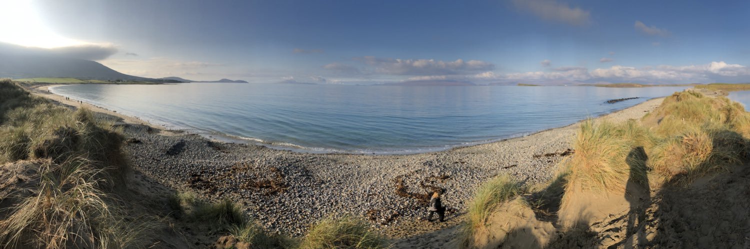 Suzanne Graham banner