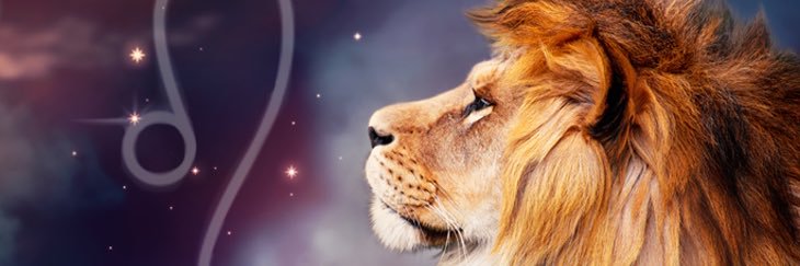zthereason's profile banner image